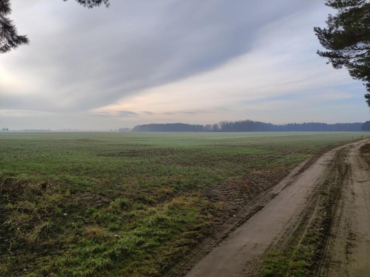 Ferienhaus Erna Doberlug-Kirchhain Luaran gambar