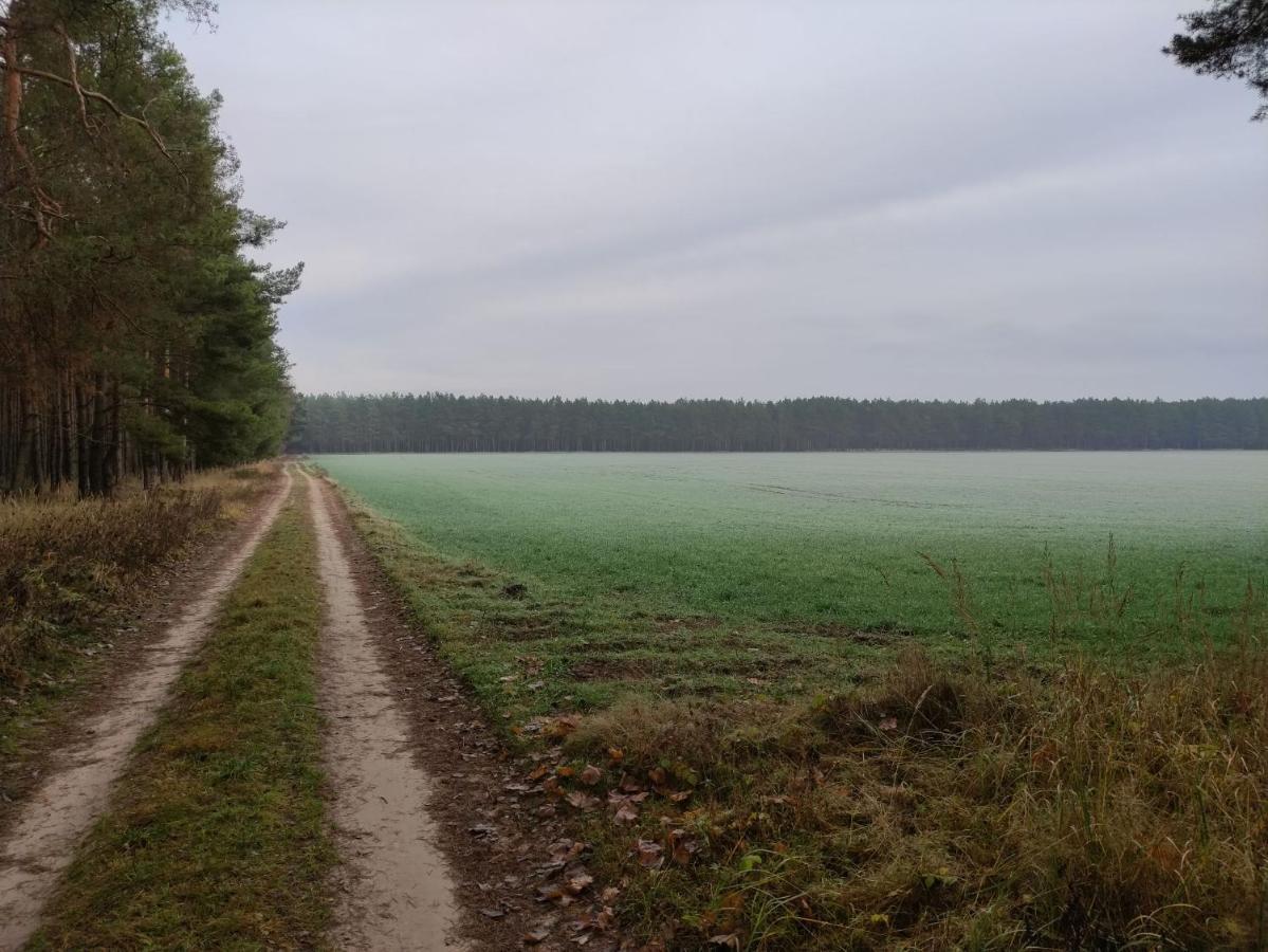 Ferienhaus Erna Doberlug-Kirchhain Luaran gambar