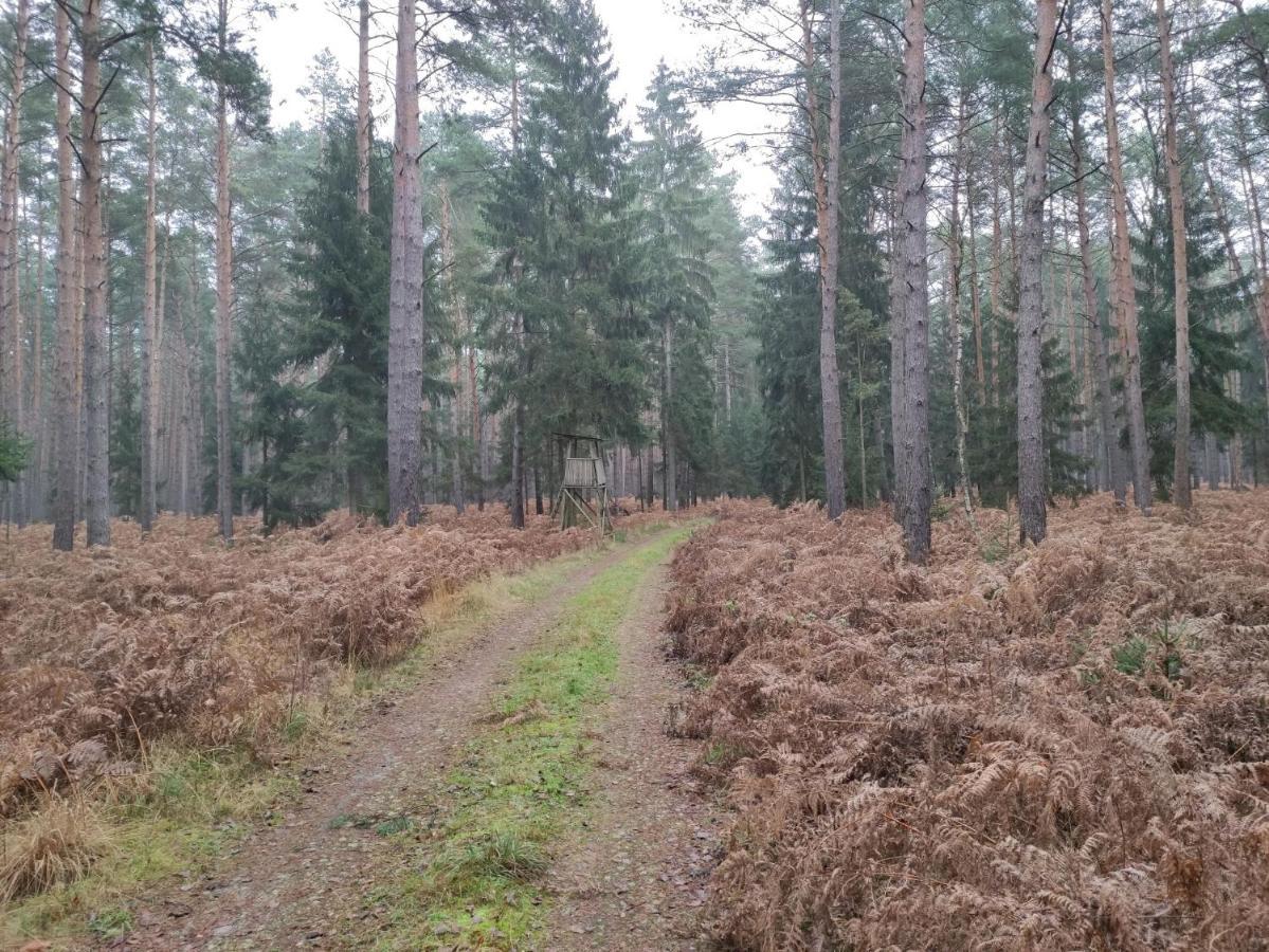 Ferienhaus Erna Doberlug-Kirchhain Luaran gambar