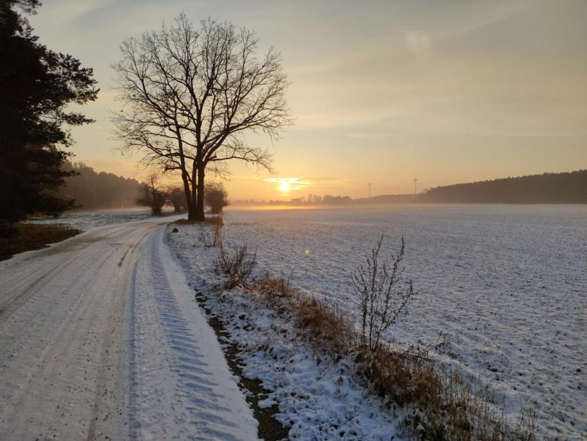 Ferienhaus Erna Doberlug-Kirchhain Luaran gambar