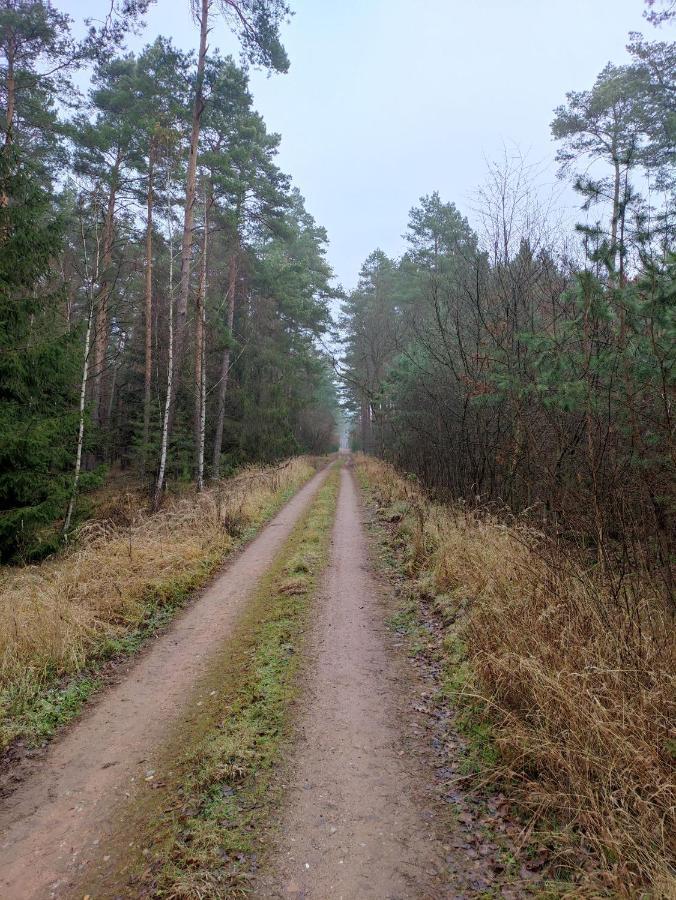 Ferienhaus Erna Doberlug-Kirchhain Luaran gambar