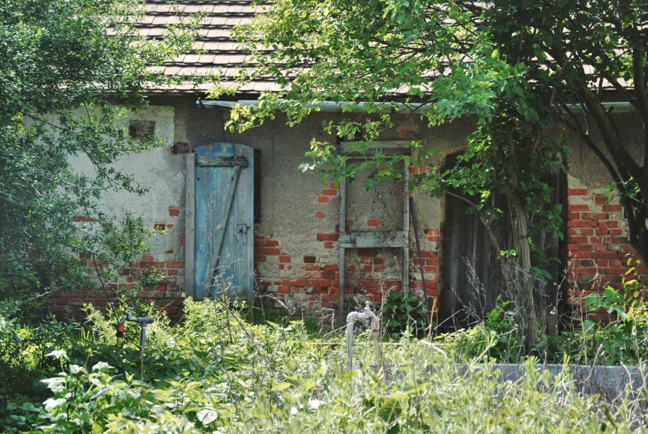Ferienhaus Erna Doberlug-Kirchhain Luaran gambar