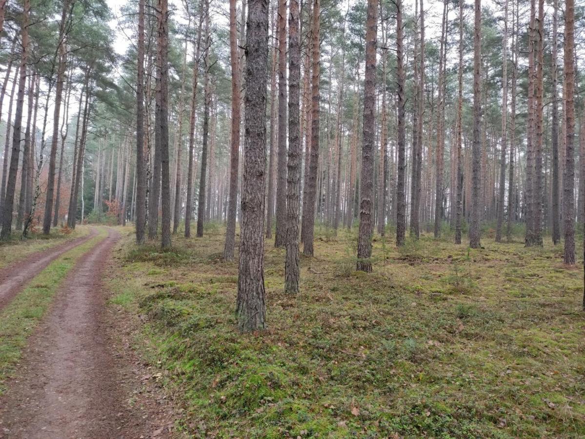 Ferienhaus Erna Doberlug-Kirchhain Luaran gambar