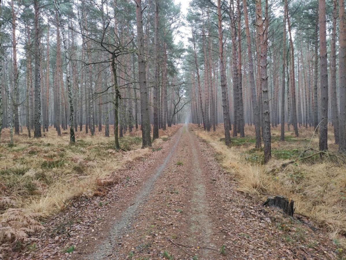 Ferienhaus Erna Doberlug-Kirchhain Luaran gambar